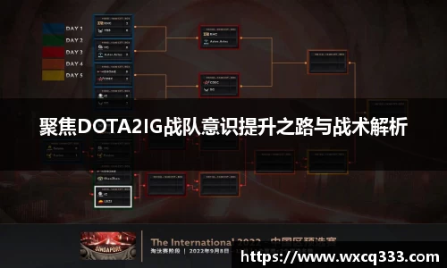 聚焦DOTA2IG战队意识提升之路与战术解析