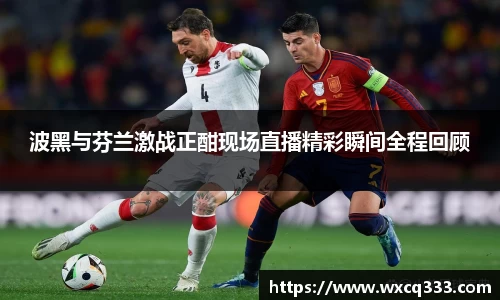 波黑与芬兰激战正酣现场直播精彩瞬间全程回顾